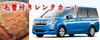 �z���_�I�[�g�����^�J�[�̊i�����������